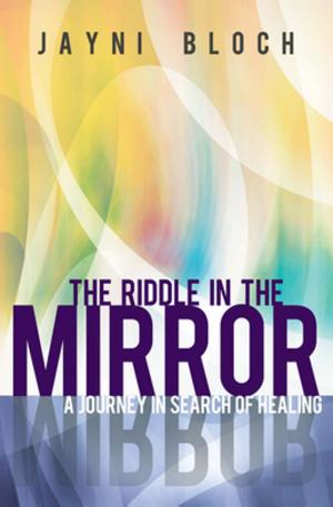 Cover of the book The Riddle in the Mirror by Wendy Riley