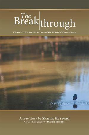 Cover of the book The Breakthrough by Yudit Maros