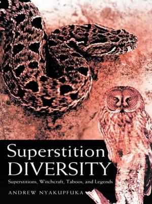 Cover of the book Superstition Diversity by Maureen Millar