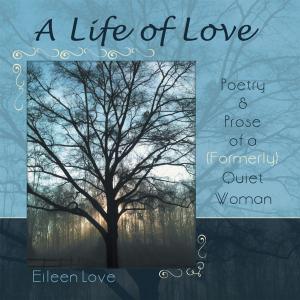 Cover of the book A Life of Love by Robert McClerren
