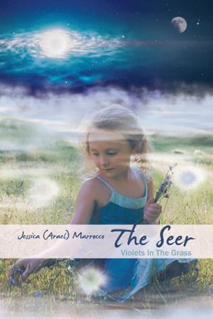Cover of the book The Seer by Kara B. Schmidt M.A. R.N.