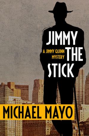 Cover of the book Jimmy the Stick by DJ Steele