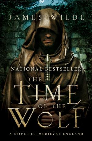 Cover of the book The Time of the Wolf by Brendan DuBois