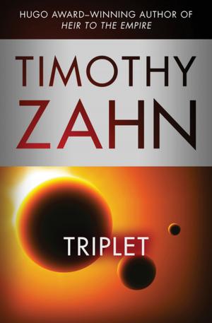 Cover of the book Triplet by D.A. Boulter