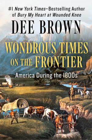 Cover of the book Wondrous Times on the Frontier by Cynthia Freeman