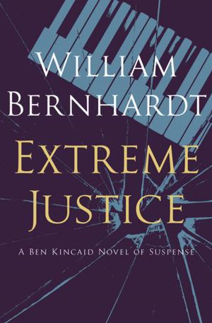 Cover of the book Extreme Justice by Nelson King