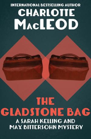 Cover of the book The Gladstone Bag by JOHN R. STUART