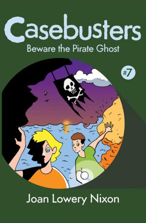 Cover of the book Beware the Pirate Ghost by Linda Wolfe