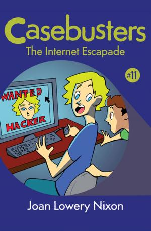 Cover of the book The Internet Escapade by Elizabeth McDavid Jones