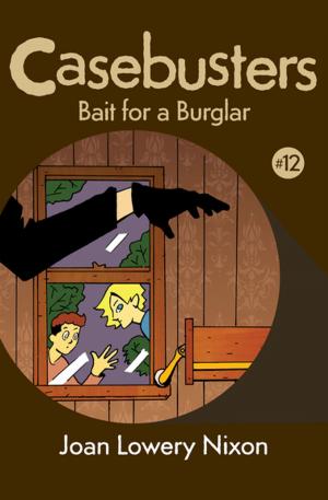 Cover of the book Bait for a Burglar by Stephen Birmingham