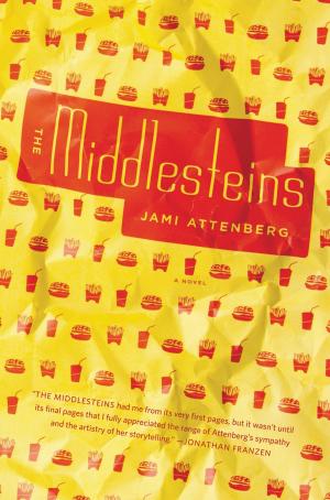 Cover of the book The Middlesteins by Moshe Kasher