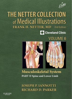 Book cover of The Netter Collection of Medical Illustrations: Musculoskeletal System, Volume 6, Part II - Spine and Lower Limb E-Book