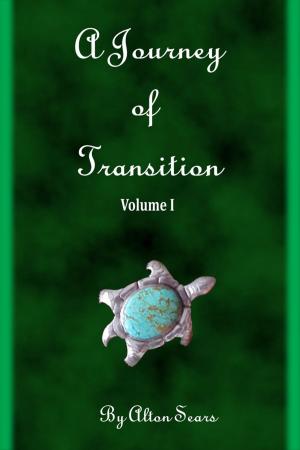 Cover of the book Journey of Transition Volume 1 by D. D. Sodagar