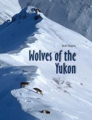 Book cover of Wolves of the Yukon