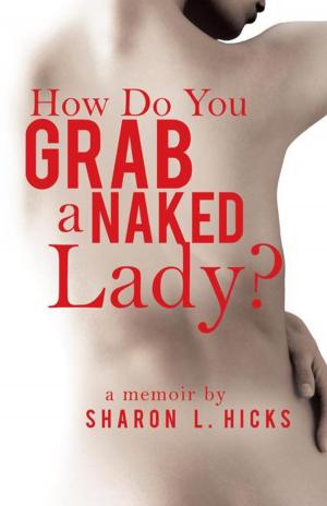 Cover of the book How Do You Grab a Naked Lady? by Sheryl A. Keen
