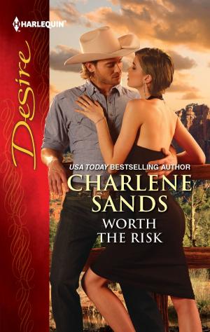 Cover of the book Worth the Risk by B.J. Daniels