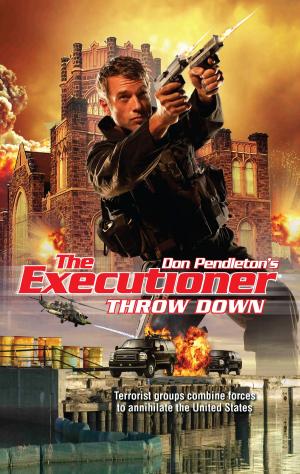 Cover of the book Throw Down by Alex Archer