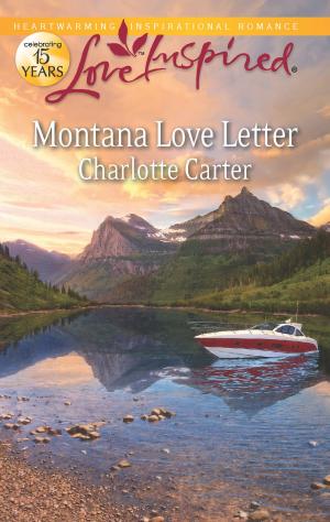 Cover of the book Montana Love Letter by Dawn Metcalf