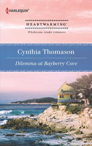 Book cover of Dilemma at Bayberry Cove