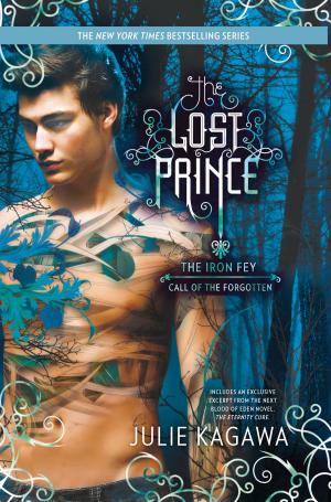 Cover of the book The Lost Prince by Segilola Salami