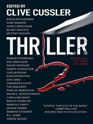 Cover of the book Thriller 2: Stories You Just Can't Put Down by Joe Hartlaub