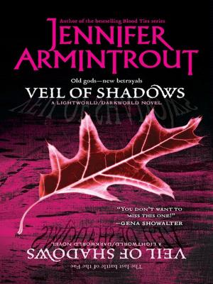 bigCover of the book Veil of Shadows by 