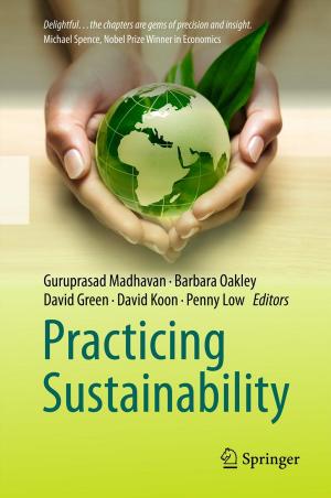 Cover of the book Practicing Sustainability by Michael J. Gonzalez, Jorge R. Miranda-Massari