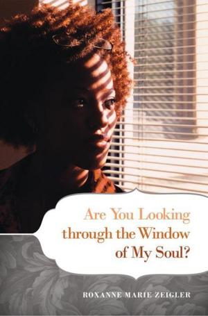 Cover of the book Are You Looking Through the Window of My Soul? by Jane Cooper