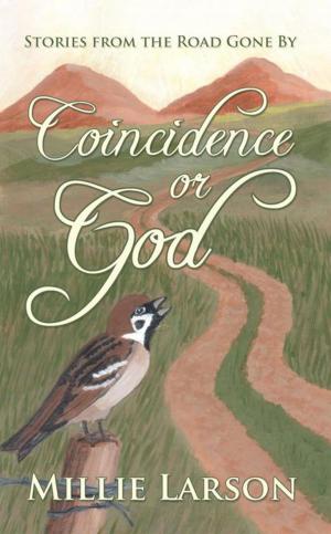 Cover of the book Coincidence or God by Marian Korth