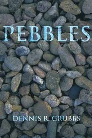 Book cover of Pebbles