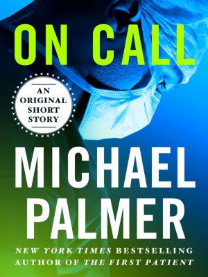 Cover of the book On Call by J. L. Spanj