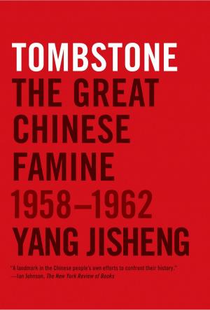 Cover of the book Tombstone by Jane Brox