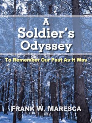 Cover of the book A Soldier's Odyssey by Venessa Adams