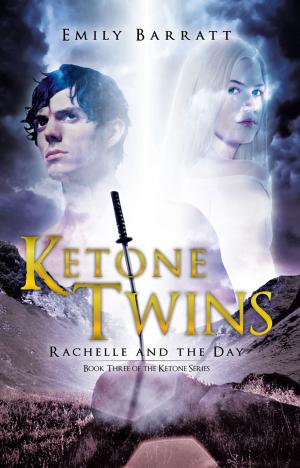Cover of the book Ketone Twins by Shinji Yoshitake