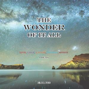 Cover of the book The Wonder of It All by David Willcox