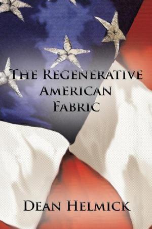 Cover of the book The Regenerative American Fabric by James Prince