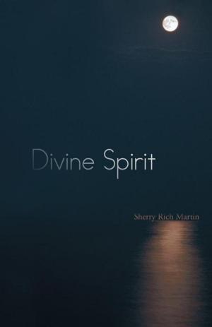 Cover of the book Divine Spirit by Dr. Malick Kouyate