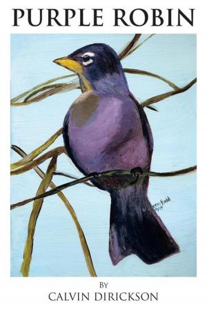 Book cover of Purple Robin