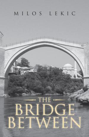 Cover of the book The Bridge Between by OLAREWAJU OLADIPO