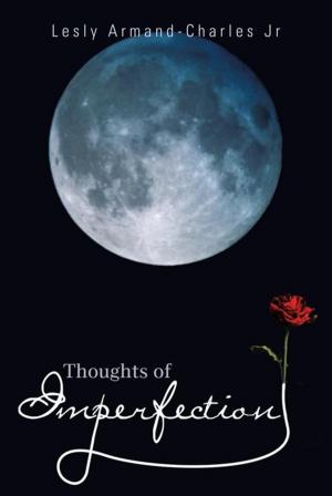 Cover of the book Thoughts of Imperfection by Stewart N. Johnson