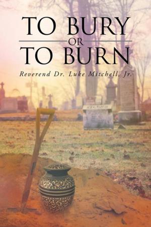 Cover of the book To Bury or to Burn by ERIC R. PELLATZ