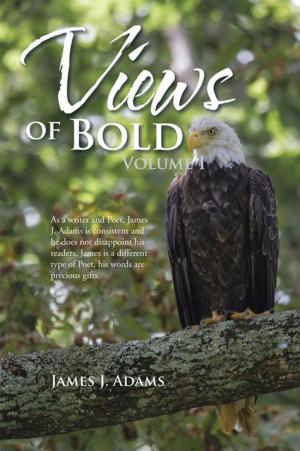 Cover of the book Views of Bold by Rusty Hunt