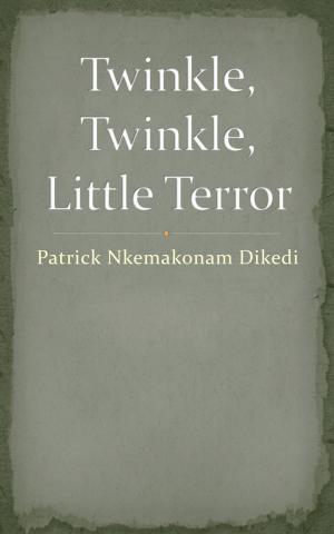 Cover of the book Twinkle, Twinkle, Little Terror by M. J. Crook