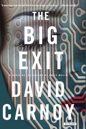 Cover of the book The Big Exit by Mariko Tamaki