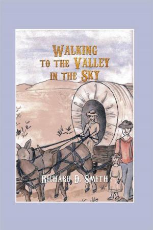 Cover of the book Walking to the Valley in the Sky by James Haydock