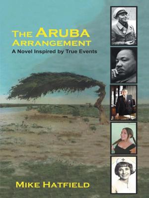 Book cover of The Aruba Arrangement
