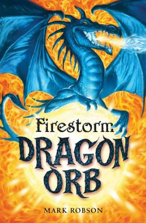 Cover of the book Dragon Orb: Firestorm by Lisa Faulkner