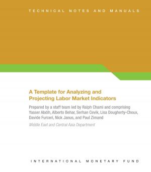 Cover of the book A Template for Analyzing and Projecting Labor Market Indicators by International Monetary Fund. External Relations Dept.