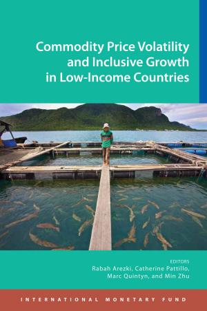 Book cover of Commodity Price Volatility and Inclusive Growth in Low-Income Countries