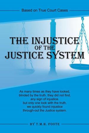 Cover of the book The Injustice of the Justice System by PJ Hoge